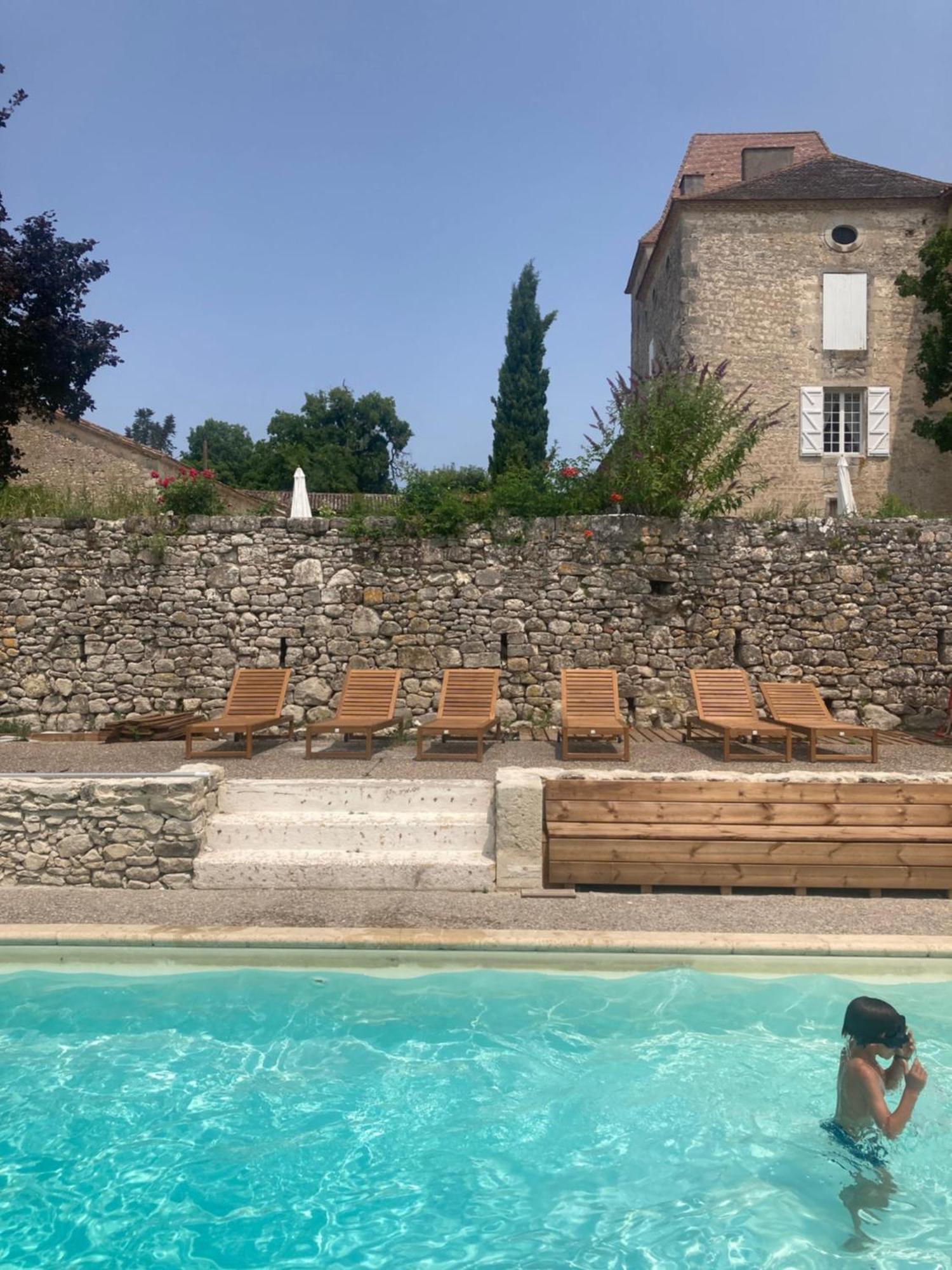 Chateau Barayre - Beautiful 12Th Century Castle With Pool And Large Garden Laussou Dış mekan fotoğraf